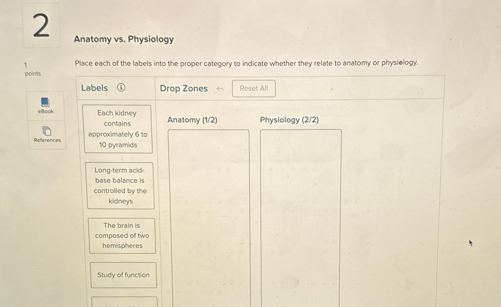 Solved Anatomy vs. ﻿Physiology1Place each of the labels into | Chegg.com