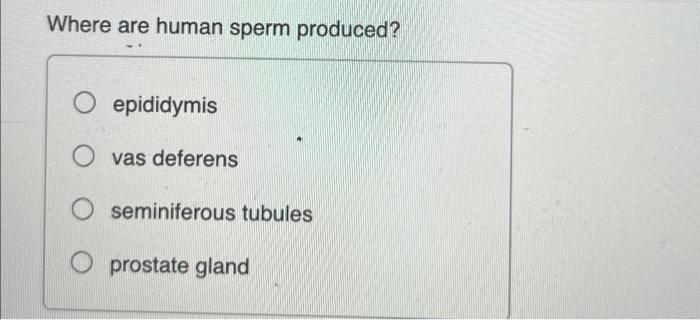 Solved Refer To The Following Figure, Which Diagrams The | Chegg.com