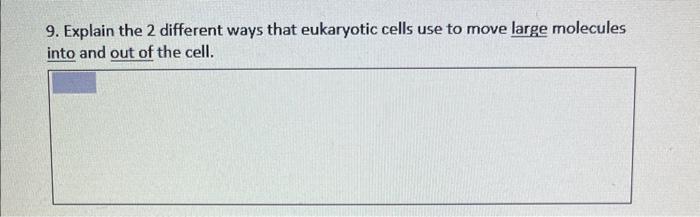 9. Explain the 2 different ways that eukaryotic cells | Chegg.com