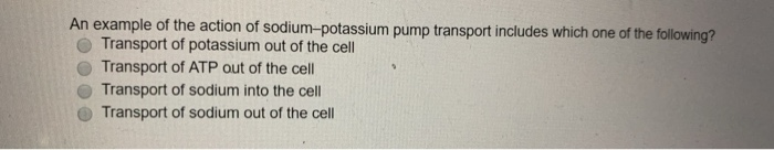 Solved Which substance is amphoteric, meaning that it can | Chegg.com