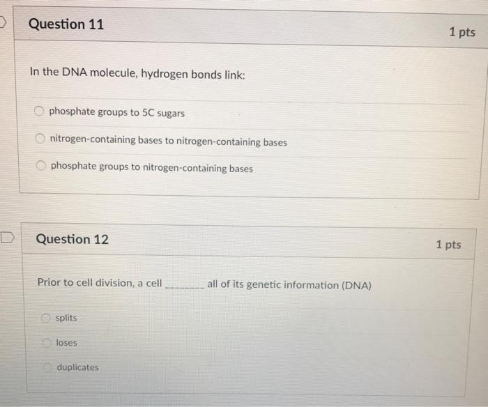Solved Question 11 1 pts In the DNA molecule, hydrogen bonds | Chegg.com