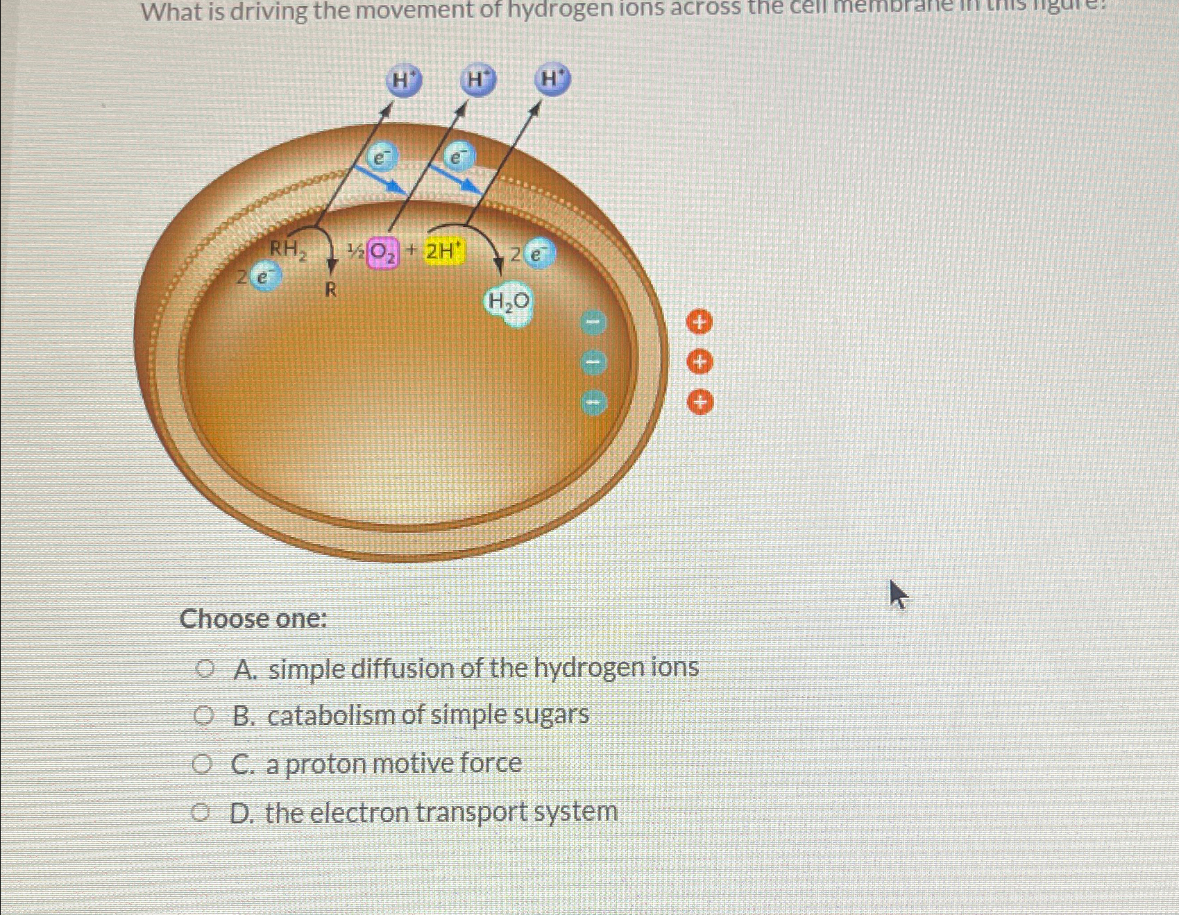 Solved Choose one:A. ﻿simple diffusion of the hydrogen | Chegg.com