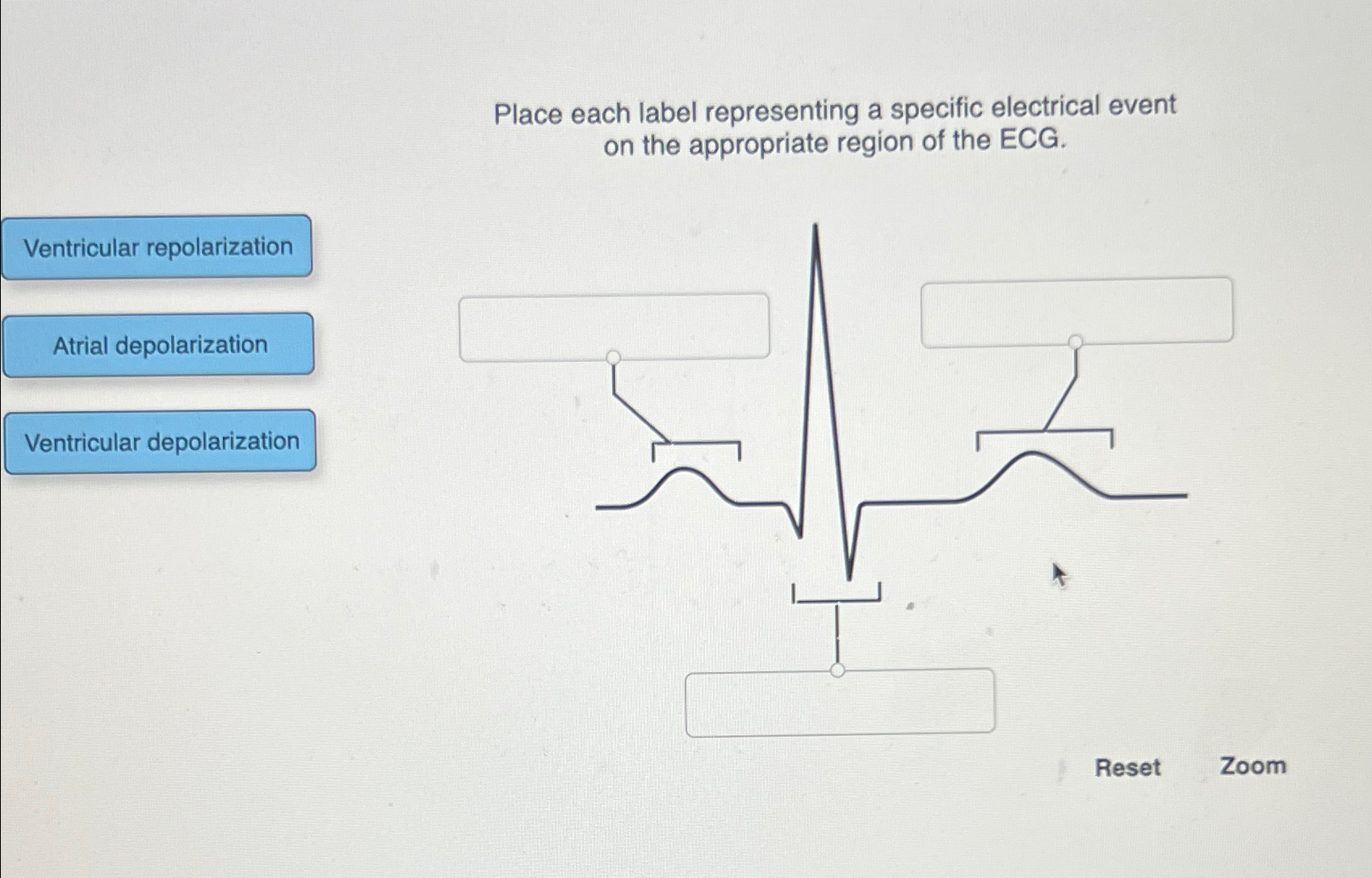 Solved Place each label representing a specific electrical