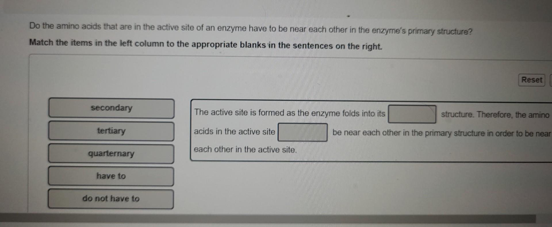 Solved Do the amino acids that are in the active site of an | Chegg.com