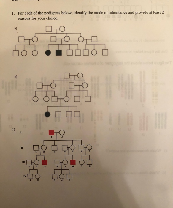 Solved 1 For Each Of The Pedigrees Below Identify The Mode