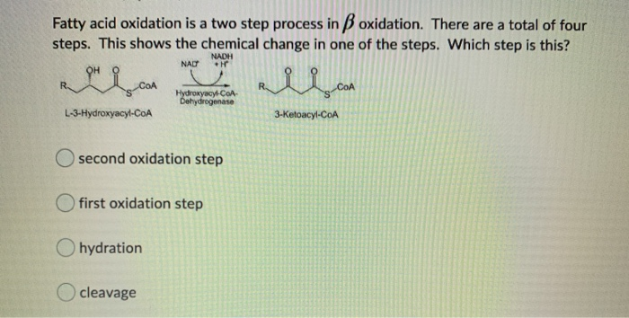 Solved Fatty Acid Oxidation Is A Two Step Process In Ss Ox Chegg Com