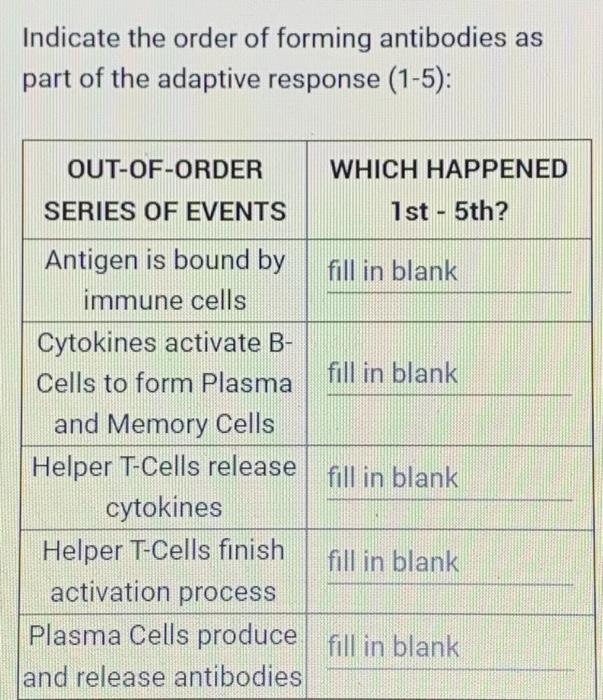 Indicate the order of forming antibodies as part of the adaptive response (1-5): OUT-OF-ORDER WHICH HAPPENED SERIES OF EVENTS