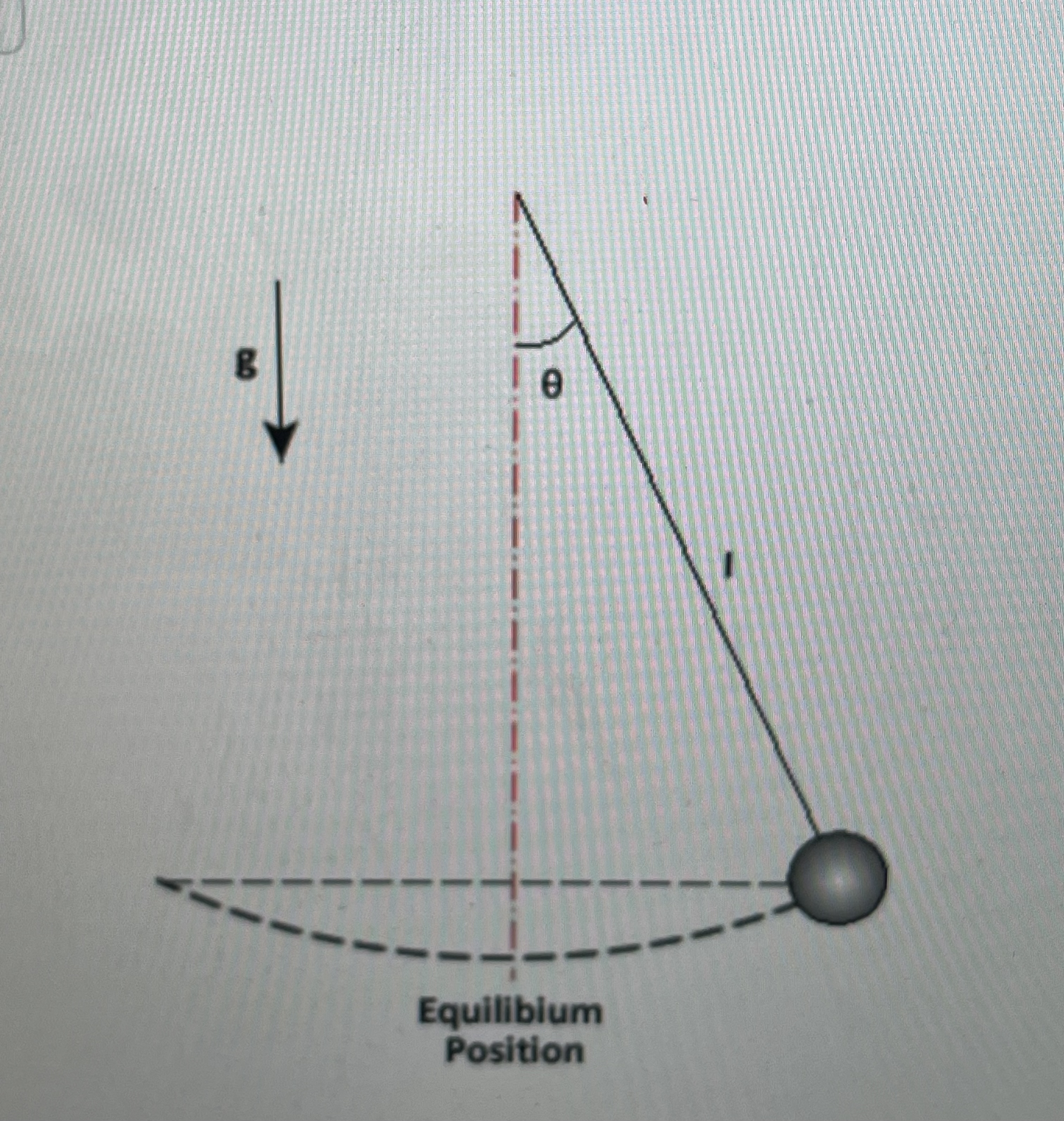 Solved This, the length of the pendulum is 1.39m. ﻿Now you | Chegg.com