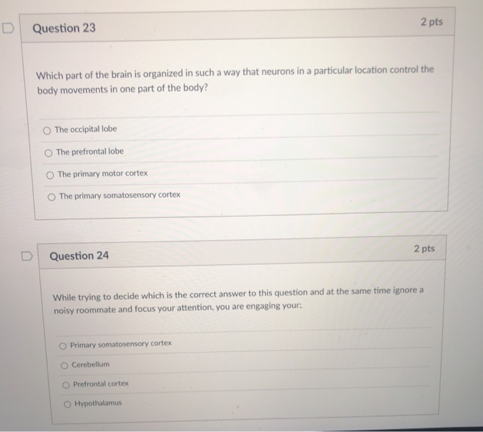 Solved 2 pts Question 23 Which part of the brain is | Chegg.com
