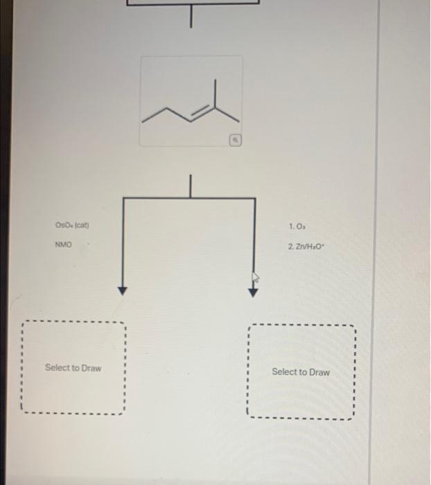 Solved A common alkene starting material is shown below.