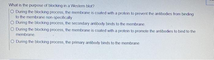 Solved What is the purpose of blocking in a Western blot? O | Chegg.com