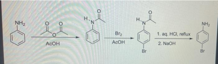 Solved H Nh2 N H N Nh2 Br2 1 Aq Hci Reflux Acoh Acoh 2 
