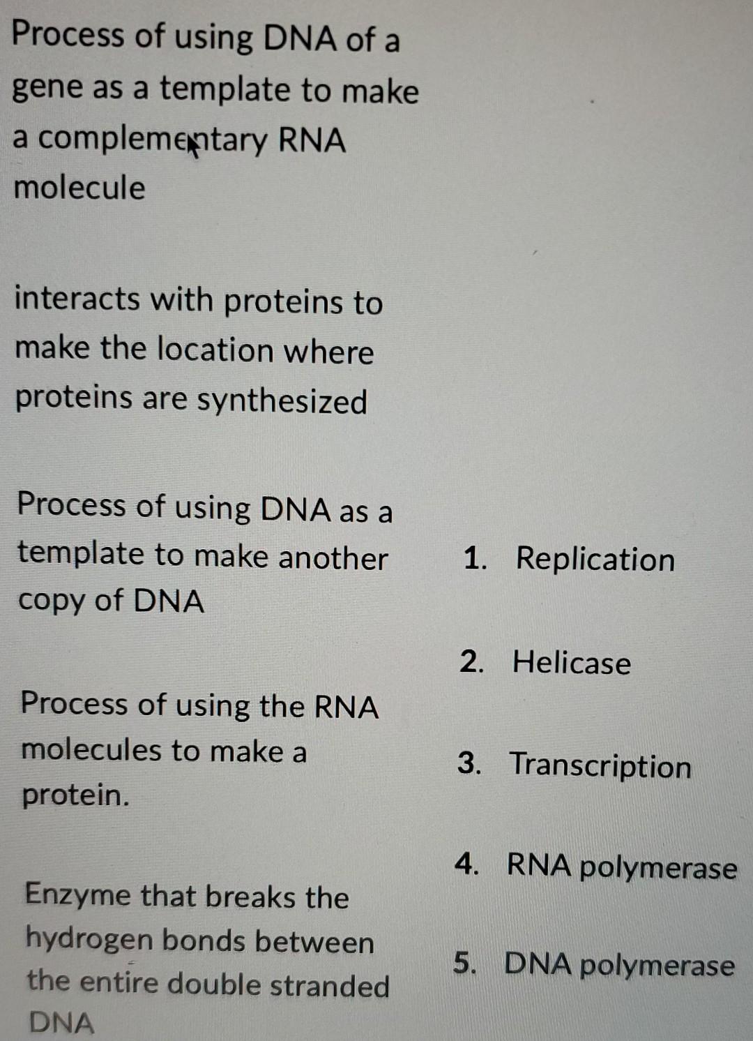 Solved Process of using DNA of a gene as a template to make | Chegg.com