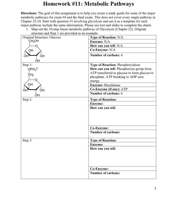 Solved Homework \#11: Metabolic Pathways Directions: The | Chegg.com