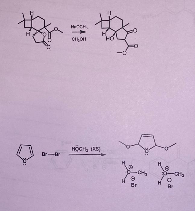 Solved NaOCH3 CH3OH | Chegg.com