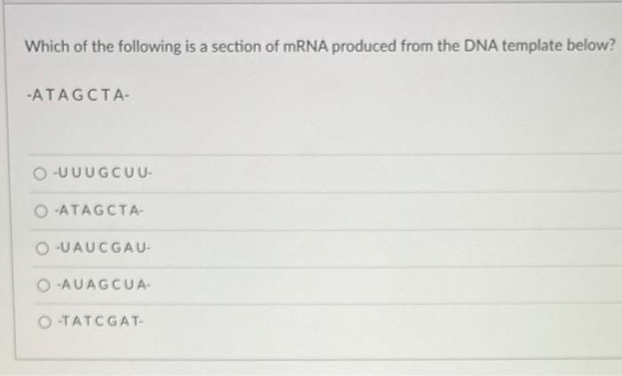 Solved Which of the following is a section of mRNA produced | Chegg.com
