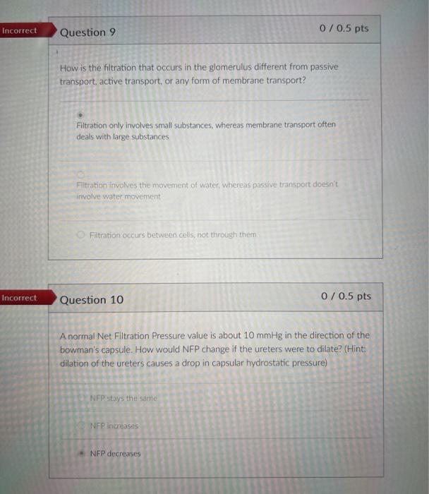 Solved How is the filtration that occurs in the glomerulus