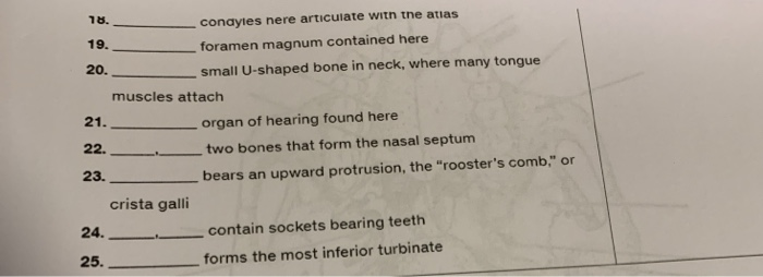 Solved Column A Column B a. ethmoid b. frontal c. hyoid d. | Chegg.com