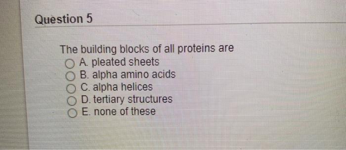 Solved Question 5 The building blocks of all proteins are O | Chegg.com