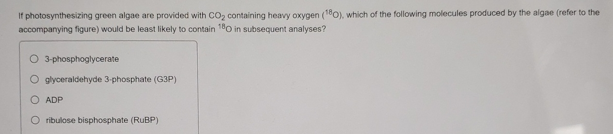 Solved If photosynthesizing green algae are provided with | Chegg.com