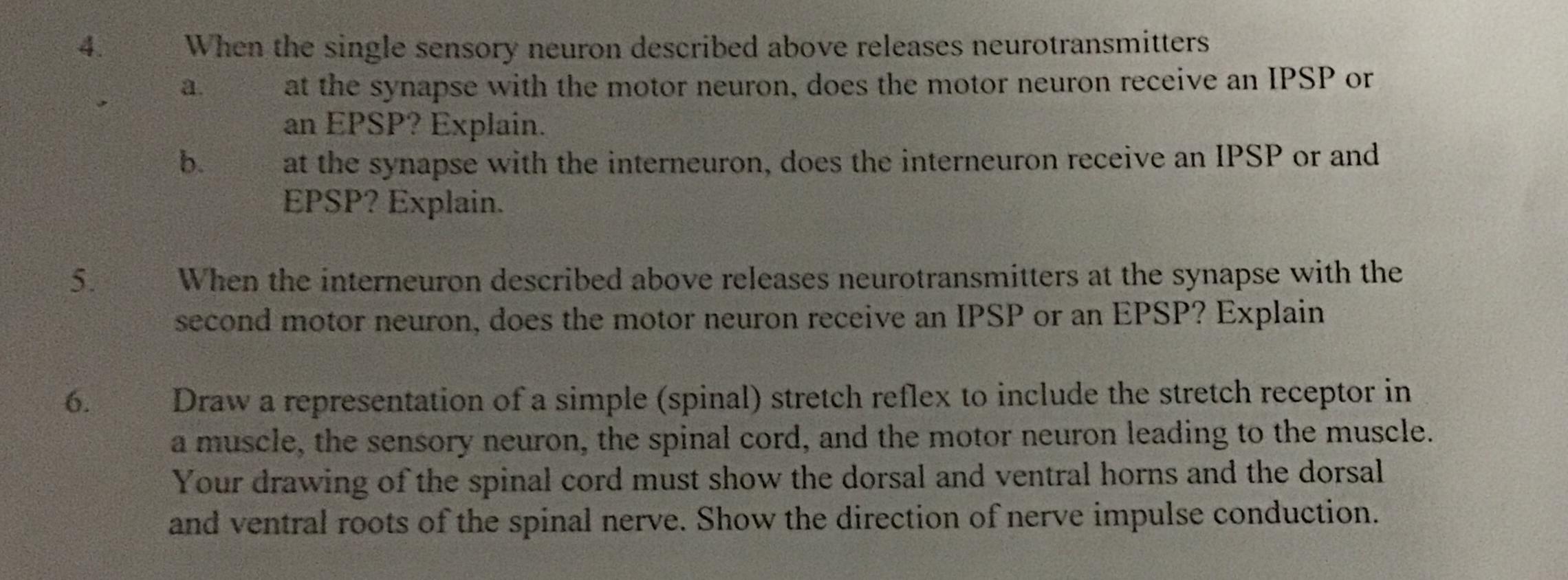 neural-impulse-on-emaze