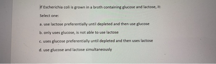 Solved lif Escherichia coli is grown in a broth containing | Chegg.com