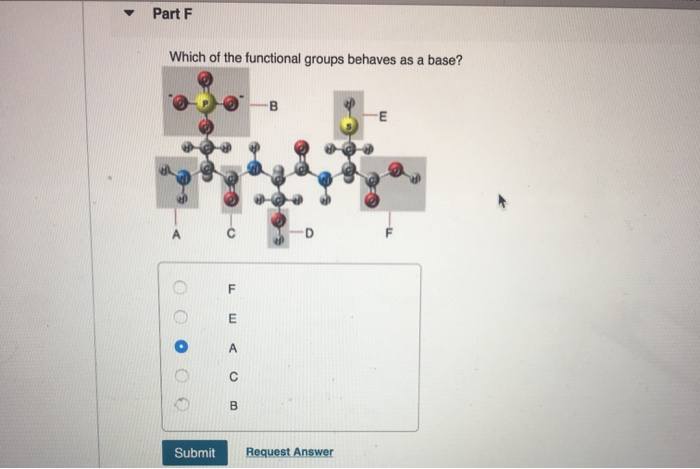 solved-part-f-which-of-the-functional-groups-behaves-as-a-chegg
