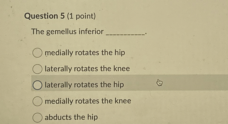 Solved Question 5 (1 ﻿point)The gemellus inferior medially | Chegg.com