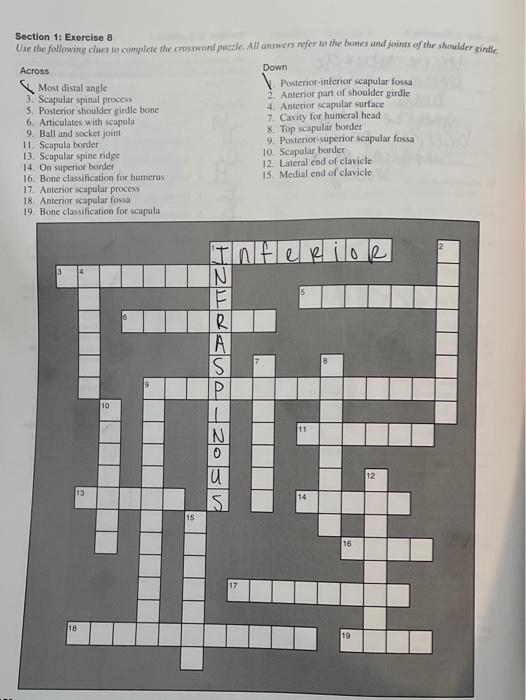 Solved Section 1: Exercise 8 Use the following clues to Chegg com