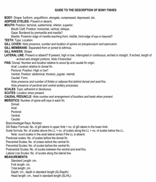 Solved * Describe the specimen (see GUIDE TO THE DESCRIPTION