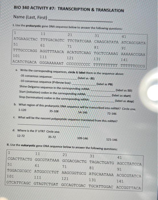 BIO 340 ACTIVITY \#7: TRANSCRIPTION \& TRANSLATION | Chegg.com