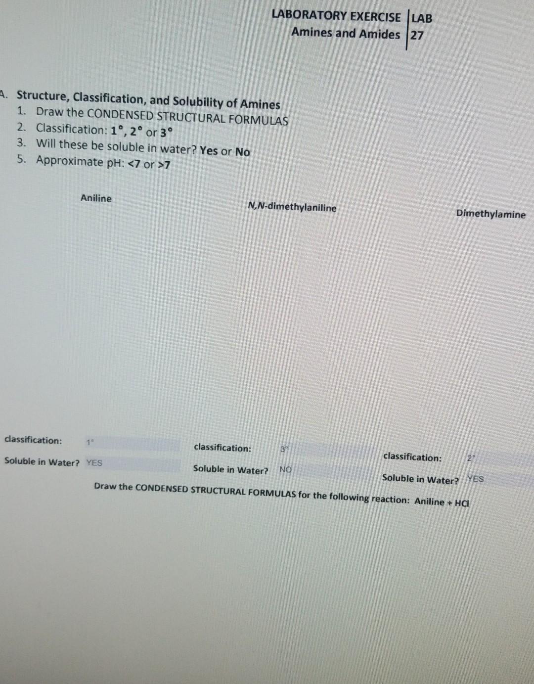 Solved LABORATORY EXERCISE LAB Amines and Amides 27 A. | Chegg.com