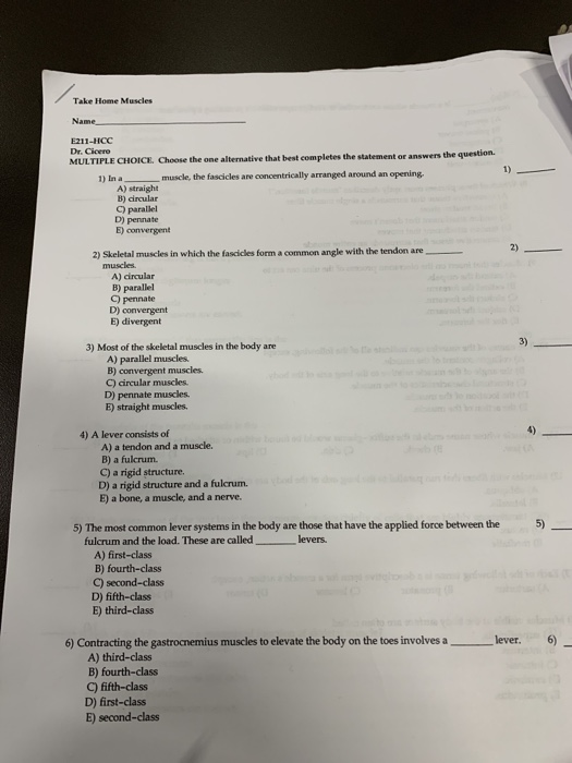 Solved Take Home Muscles Name E211-HCC Dr. Cleere MULTIPLE | Chegg.com