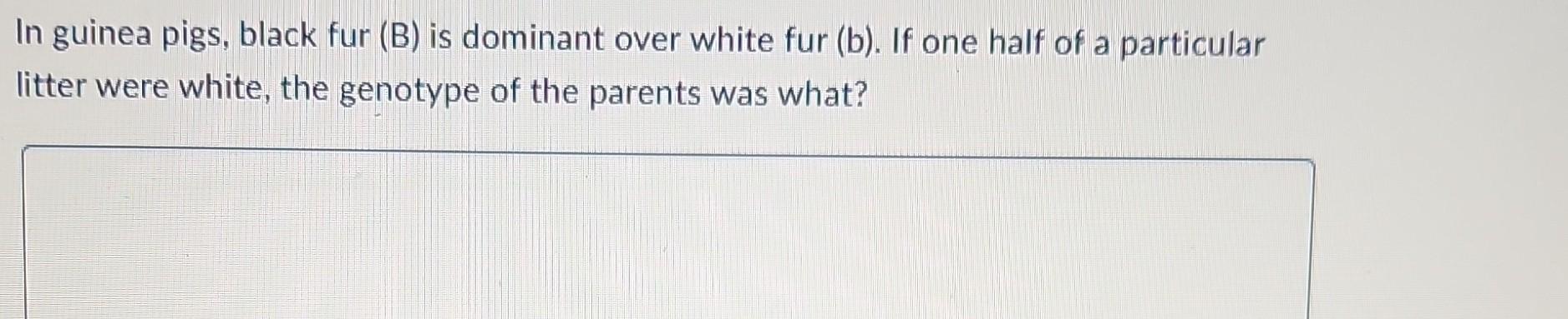 Solved In Guinea Pigs, Black Fur (B) Is Dominant Over White | Chegg.com