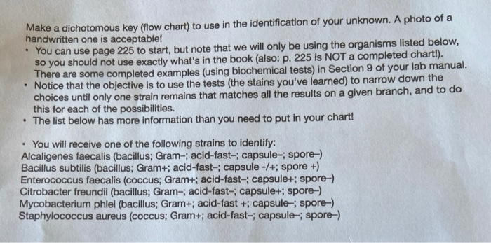 Make a dichotomous key (flow chart) to use in the | Chegg.com