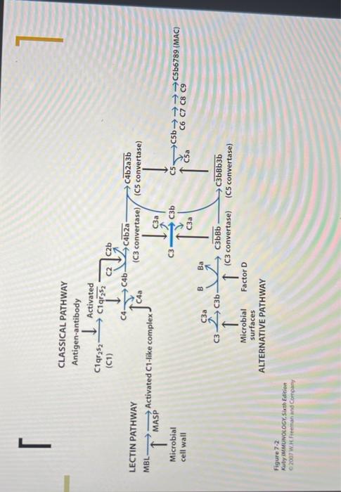 Solved please i need this picture explained, in a short and | Chegg.com image.