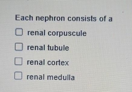 Solved Each nephron consists of a renal corpuscule renal | Chegg.com