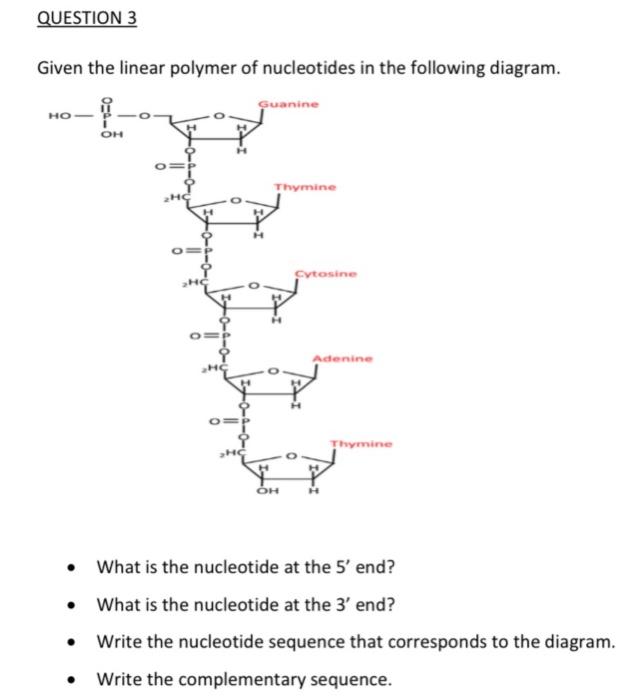 Solved QUESTION 1 Name the functional importance of each of | Chegg.com