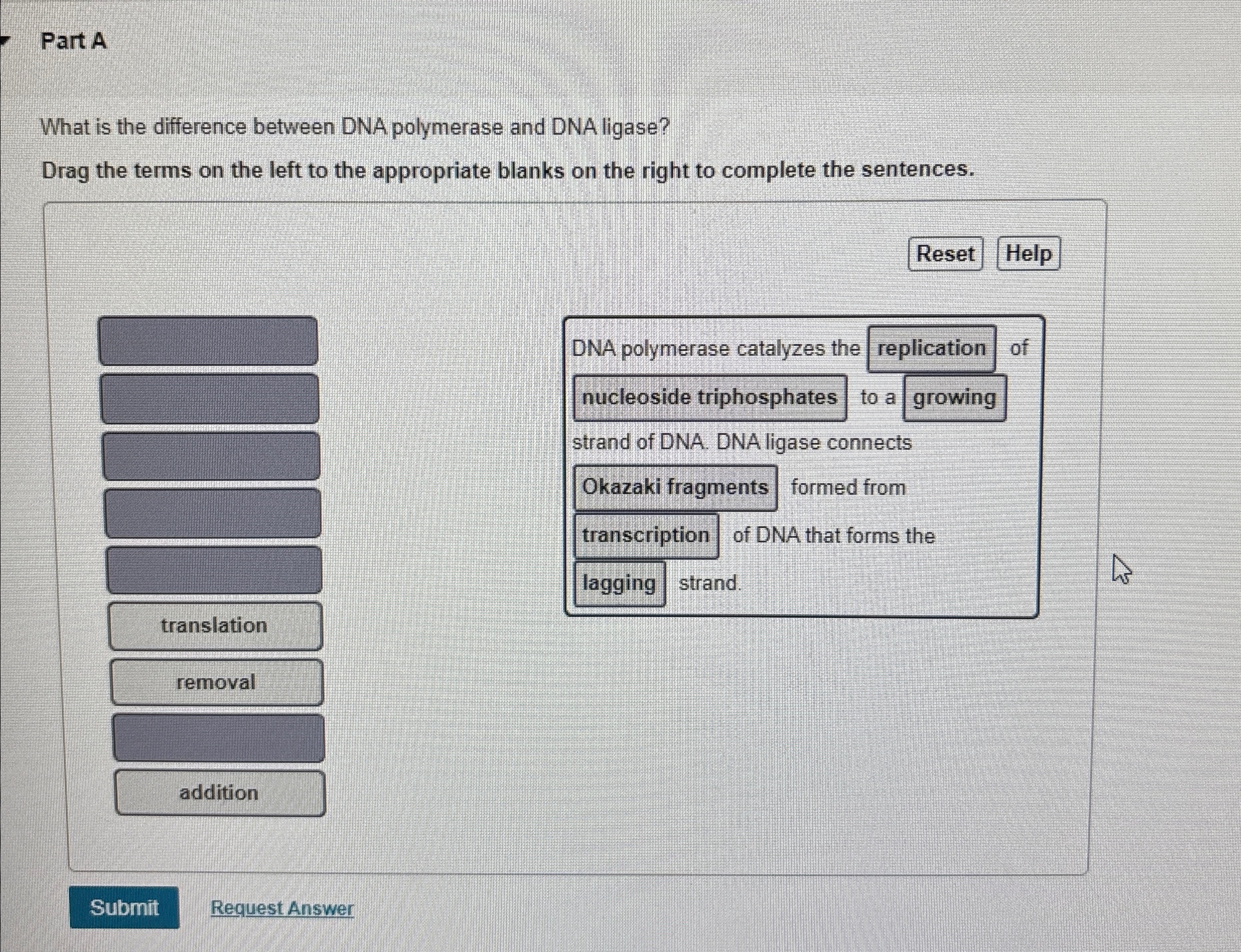 Solved Part AWhat is the difference between DNA polymerase | Chegg.com