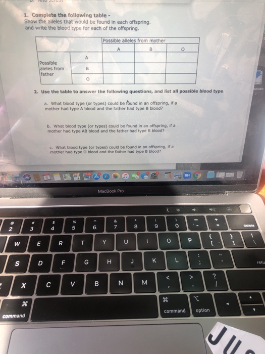 solved-1-complete-the-following-table-show-the-alleles-chegg