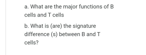 Solved a. What are the major functions of B cells and T | Chegg.com