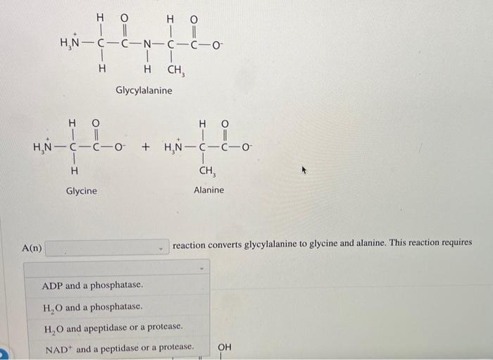 Solved For each pair of biomolecules, identify the type of