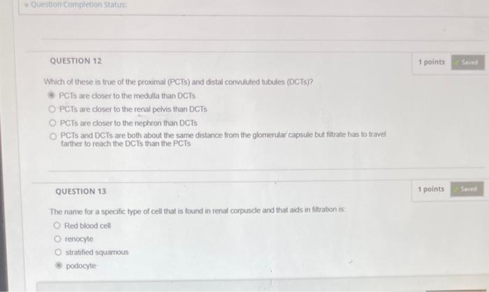 Solved Which of these is true of the proximal (PCTs) and | Chegg.com