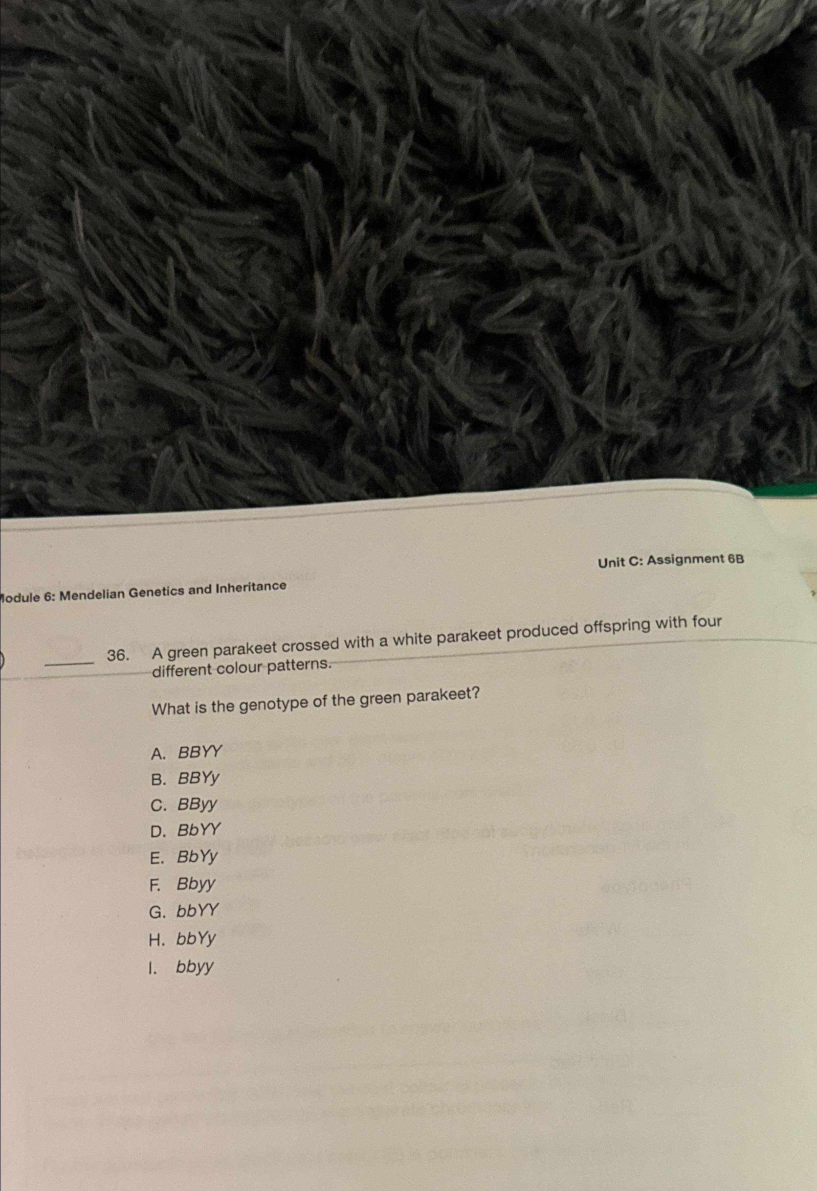 Solved Unit C: Assignment 6B36. ﻿A green parakeet crossed | Chegg.com