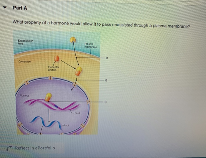 Solved PreLab Exercise 202 Formed Elements In this unit we