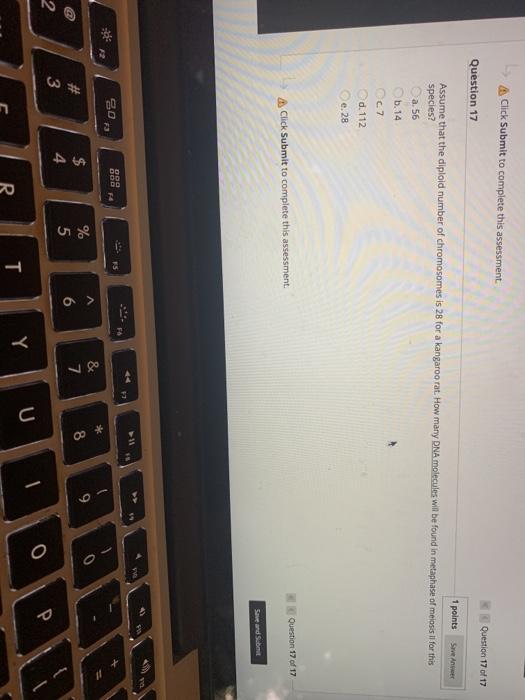 Solved Click Submit to complete this assessment Question 17 | Chegg.com
