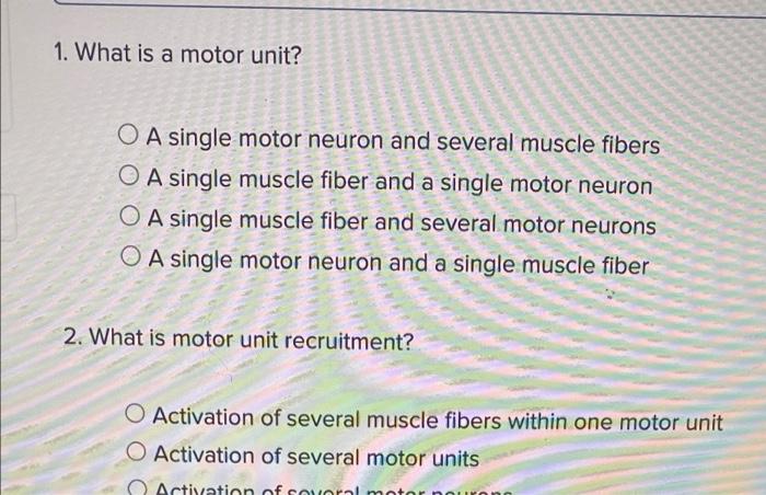 Solved 1. What is a motor unit? O A single motor neuron and | Chegg.com