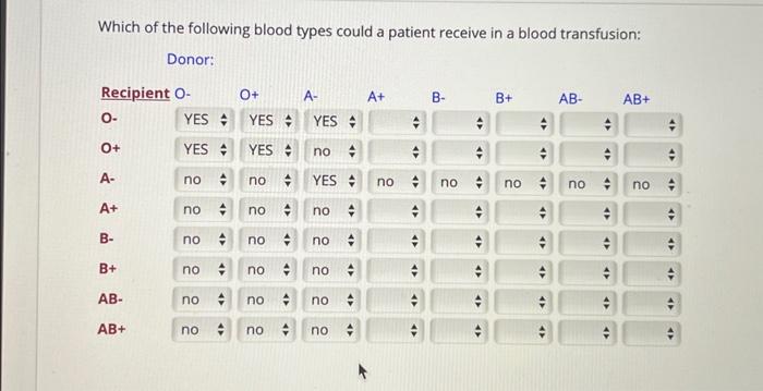 Solved Which of the following blood types could a patient | Chegg.com
