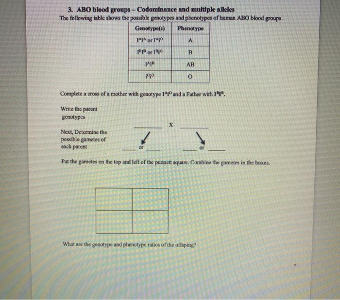 2 Monohybrid Cross For This Activity Consider The Chegg 