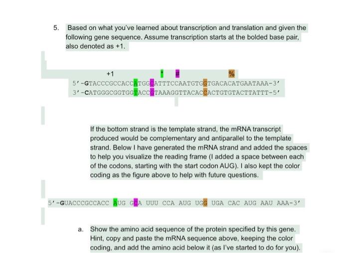 Solved 5. Based on what you've learned about transcription | Chegg.com